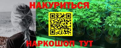 СК Краснодар