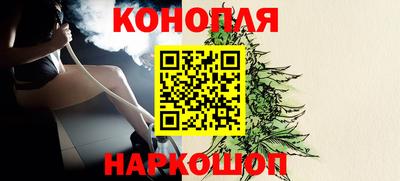 СК Краснодар