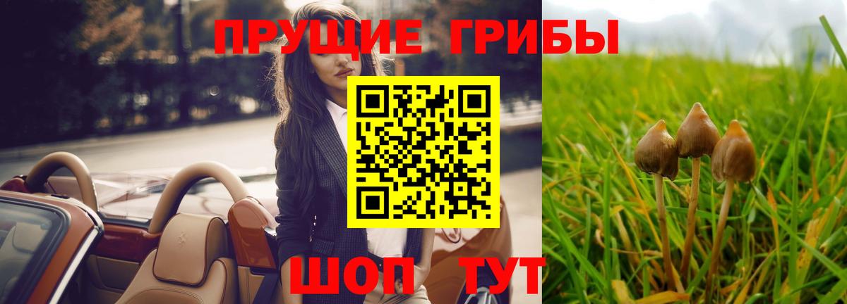 Псилоцибиновые грибы прущие грибы Ковров